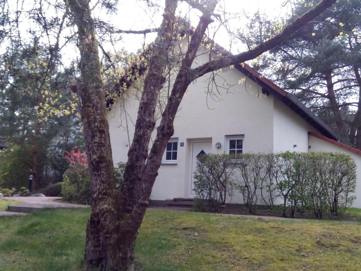 Holiday home Lenzer Parkblick Am Plauer *