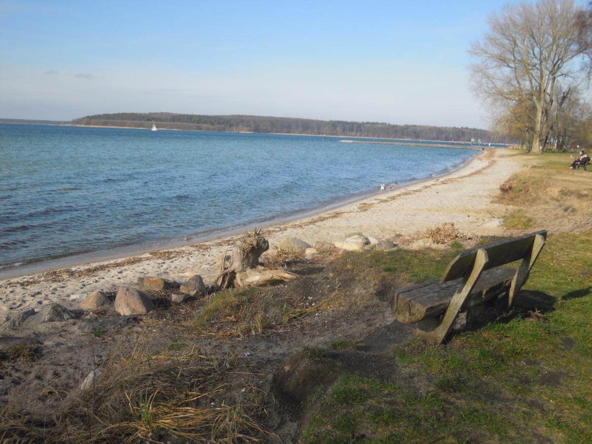 Lenzer Parkblick Am Plauer *